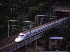 07.jpg