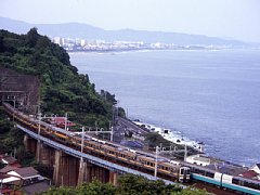 08.jpg