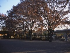 choufu09.jpg